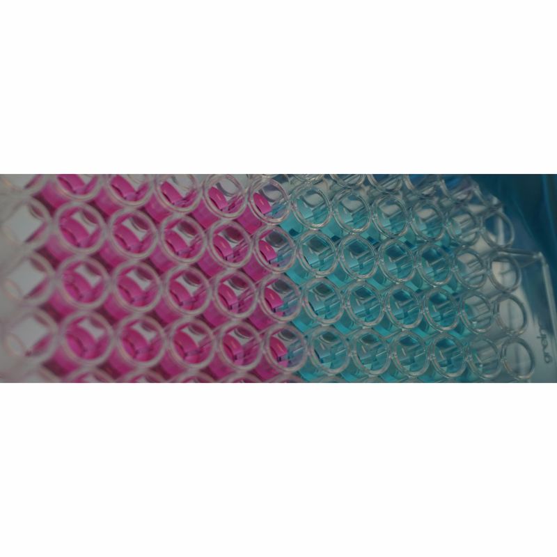 Sensitive cell cultures-with space