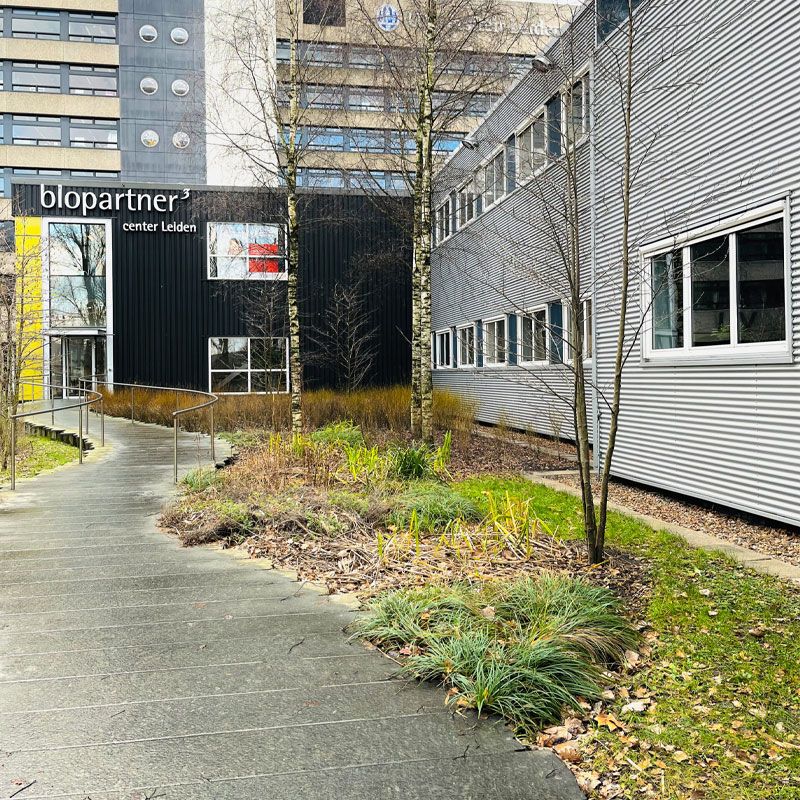 sync-biosystems-office-Leiden